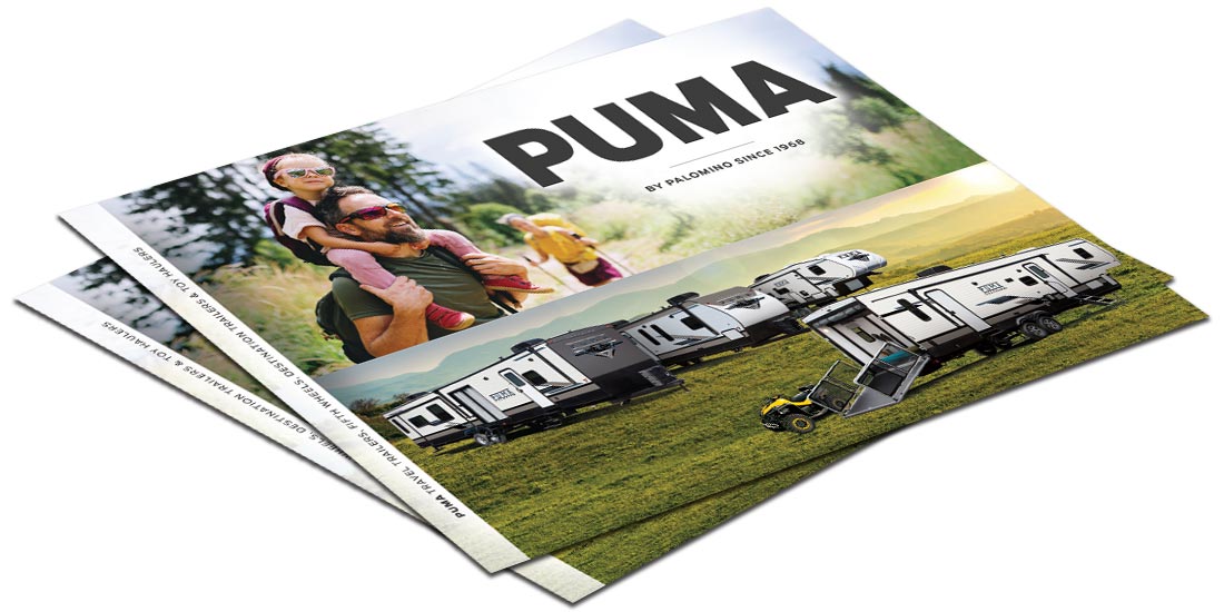Puma Unleashed Brochure